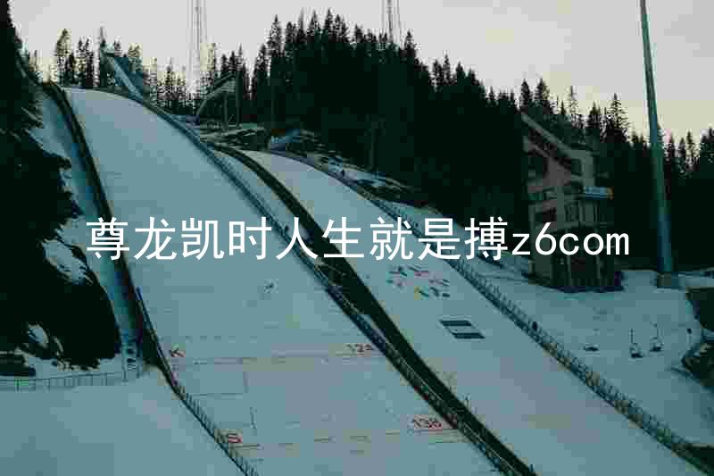 尊龙凯时人生就是搏z6com