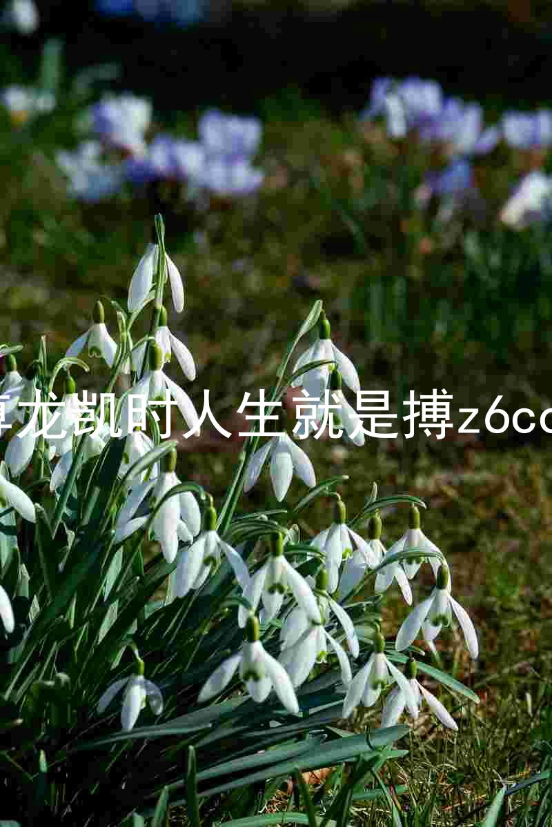 尊龙凯时人生就是搏z6com