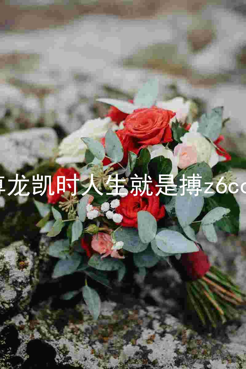 尊龙凯时人生就是搏z6com