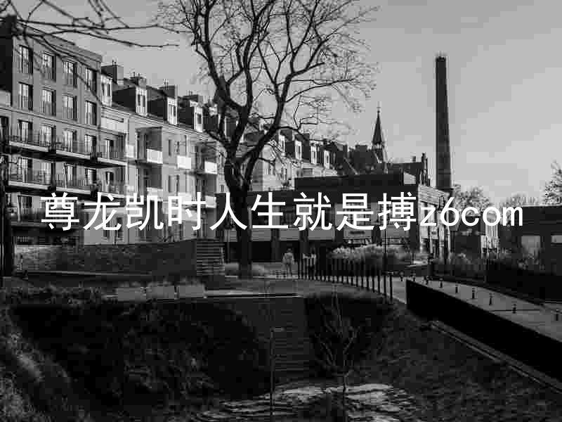 尊龙凯时人生就是搏z6com