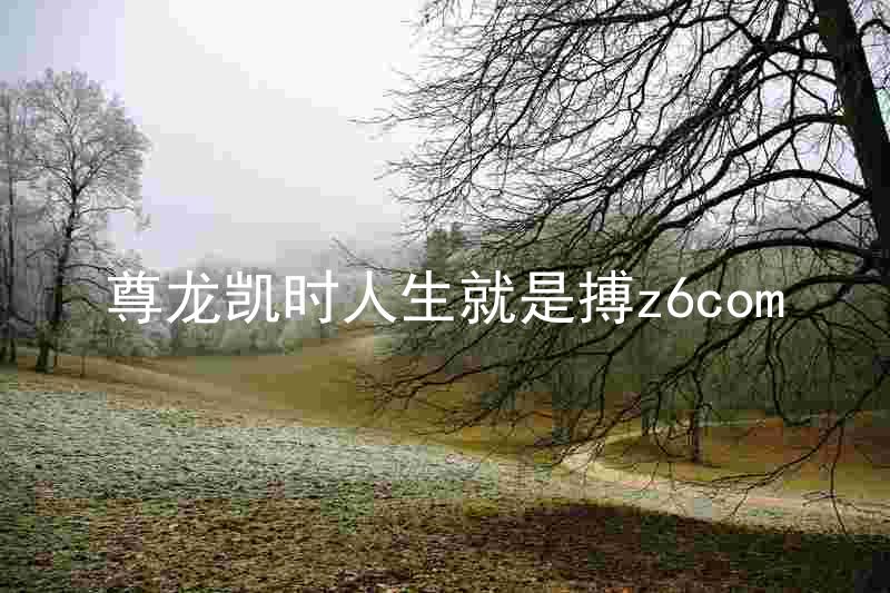 尊龙凯时人生就是搏z6com