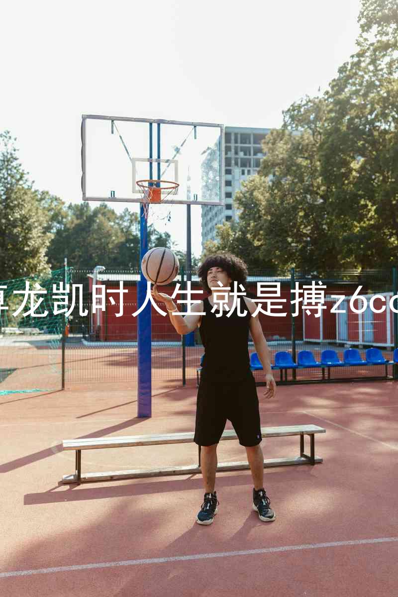 尊龙凯时人生就是搏z6com