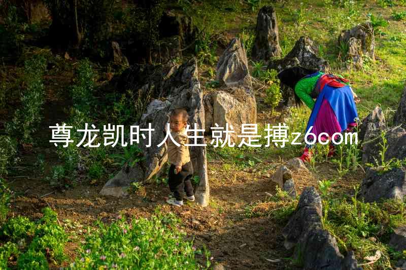 尊龙凯时人生就是搏z6com