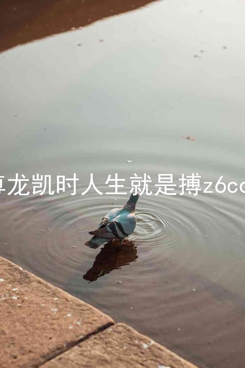 尊龙凯时人生就是搏z6com